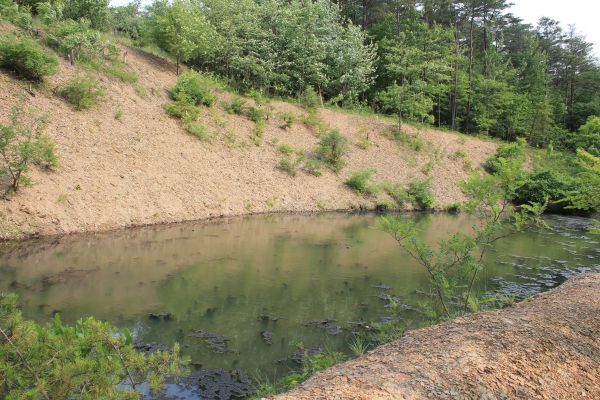 Pond Erosion Repair in Simi Valley