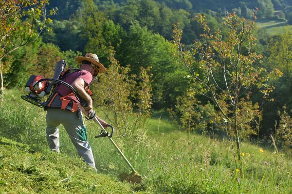 Cost of Slope Trimming in Simi Valley